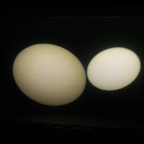 LED200W imaging light